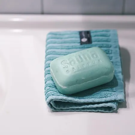 Toppala 木屋 Petäjävesi