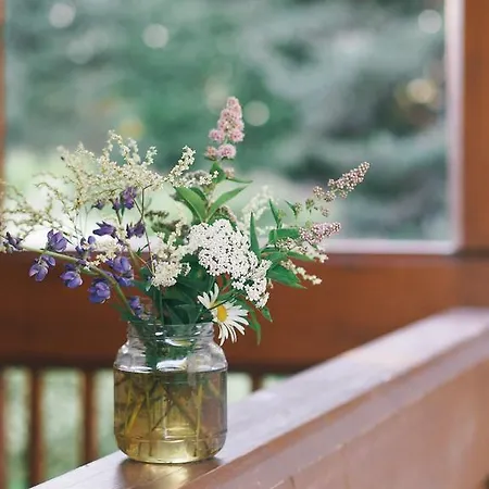 Alpesi faház Toppala *