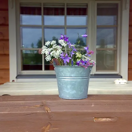 Toppala * Petäjävesi