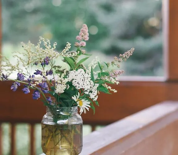 Horská chata Toppala *